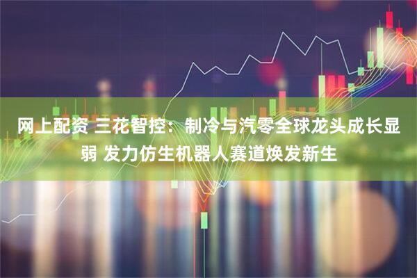 网上配资 三花智控：制冷与汽零全球龙头成长显弱 发力仿生机器人赛道焕发新生
