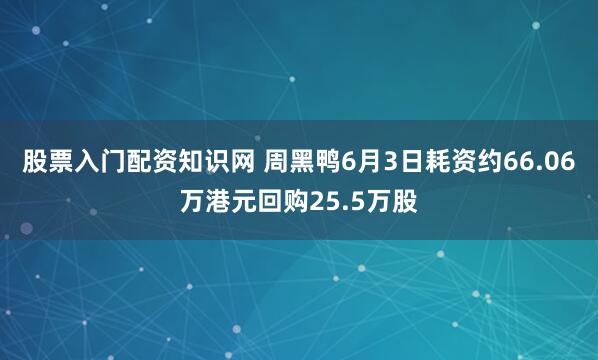 股票入门配资知识网 周黑鸭6月3日耗资约66.06万港元回购25.5万股